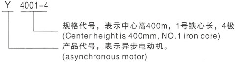 西安泰富西玛Y系列(H355-1000)高压ZSN4-225-091-55KW三相异步电机型号说明