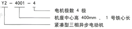 YR系列(H355-1000)高压ZSN4-225-091-55KW三相异步电机西安西玛电机型号说明